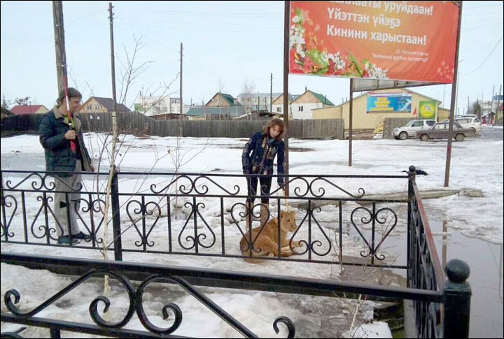Lion attacks nine year old girl in coldest region in Russia