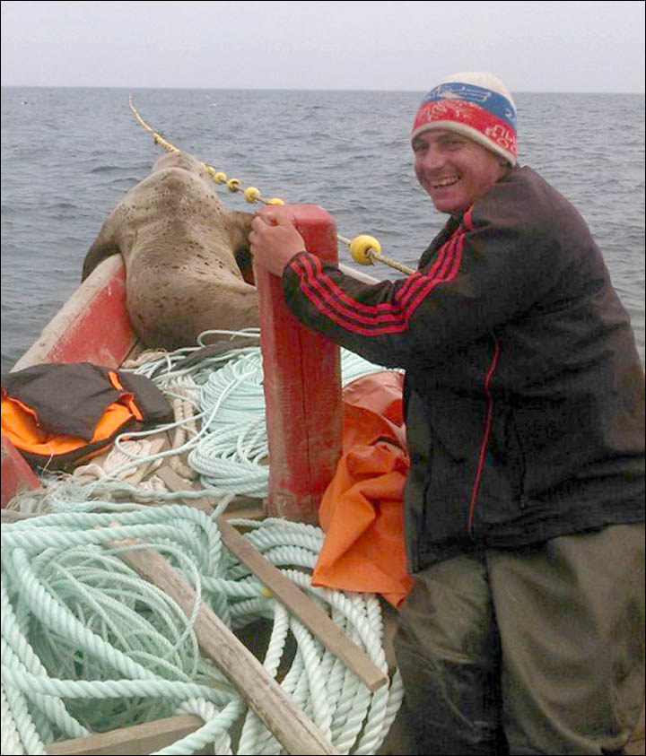Devoted sea creature refuses to leave fishermen on all-day odyssey.