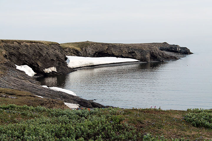 Vaygach island
