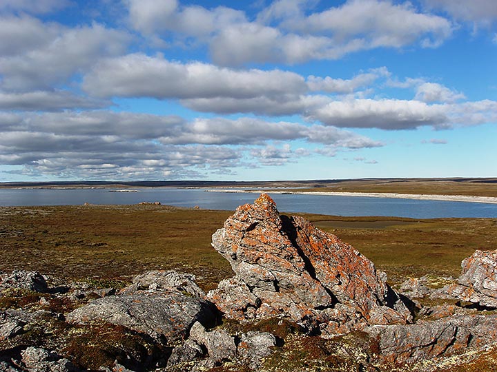 Vaygach island