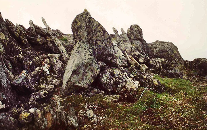 Idol on Vaygach island
