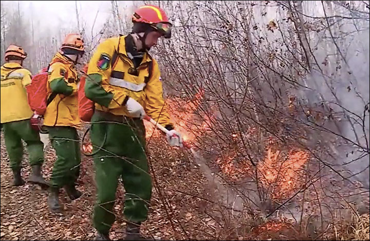 Wildfire apocalypse Siberia 