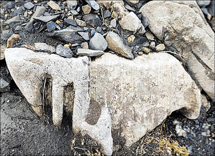 200 million year old monster of the sea neck bone