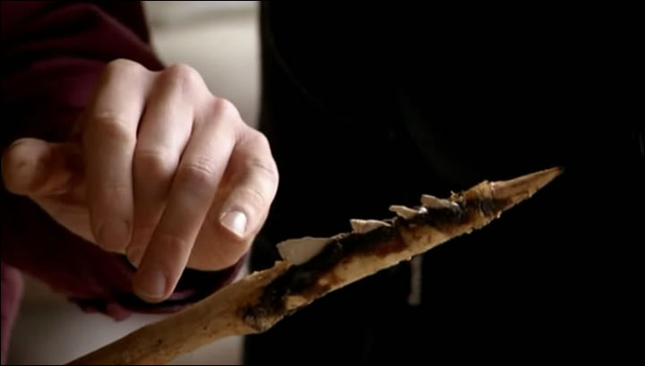 Weapon with microliths