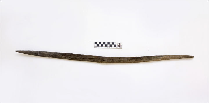 Spear of rhinoceros horn