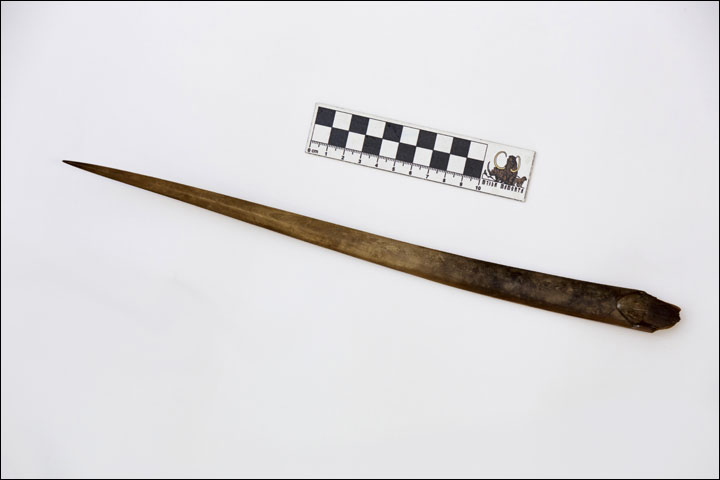 Spear of mammoth bone