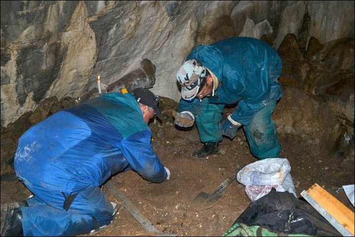 World's greatest ever haul of supersize cave lion bones found in Urals