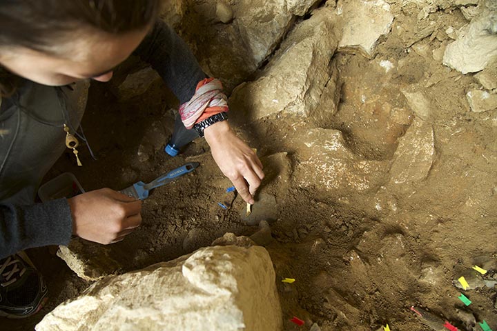 Excavations site