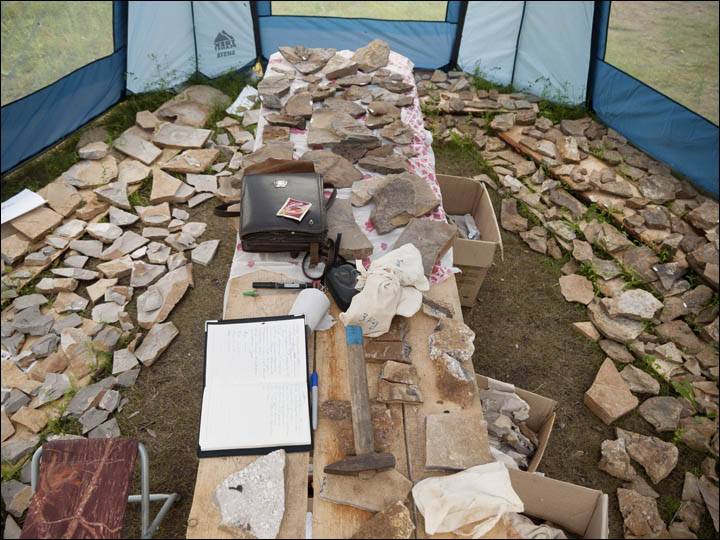 Findings in Kulinda