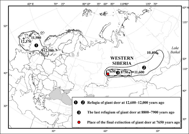 Giant deer in Siberia