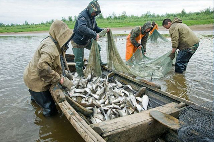 Amur River indigenous people