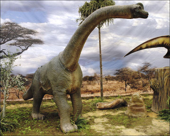 Brachiosaurus