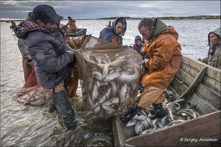 Fishing 