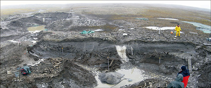 Zhokhov Island 