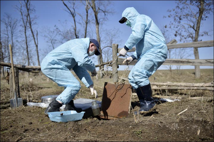 Taking probes on burial ground