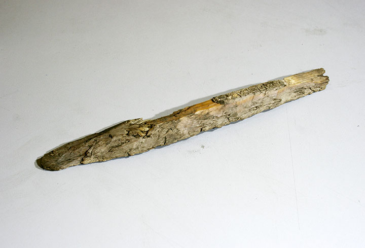 Ivory chips left by ancient hunters