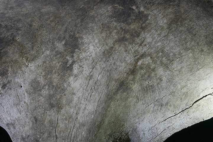 Butchering traces