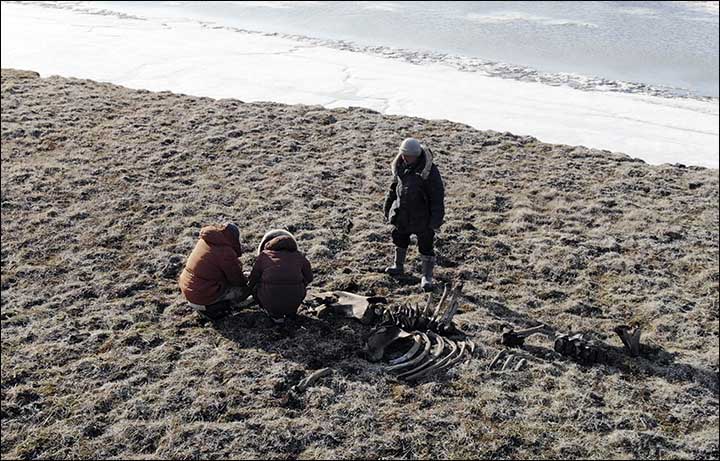 Pavlov's mammoth