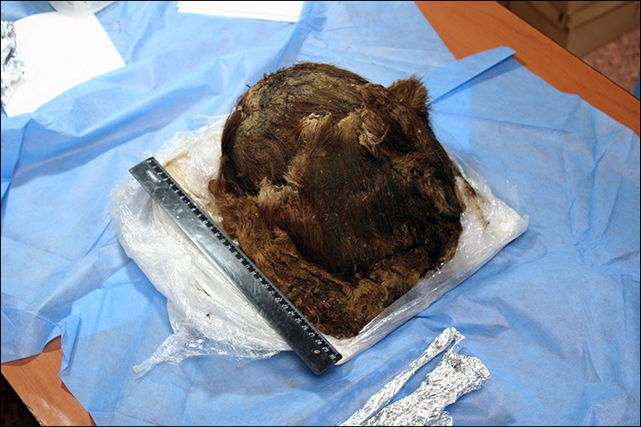 Meet the mummified Polar Princess, her long eyelashes and hair still intact after 900 years