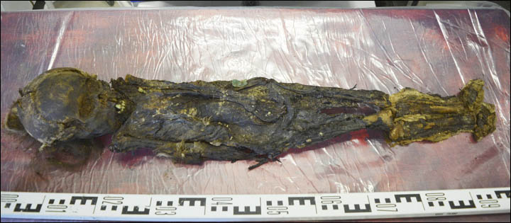 Unwrapping the mummy
