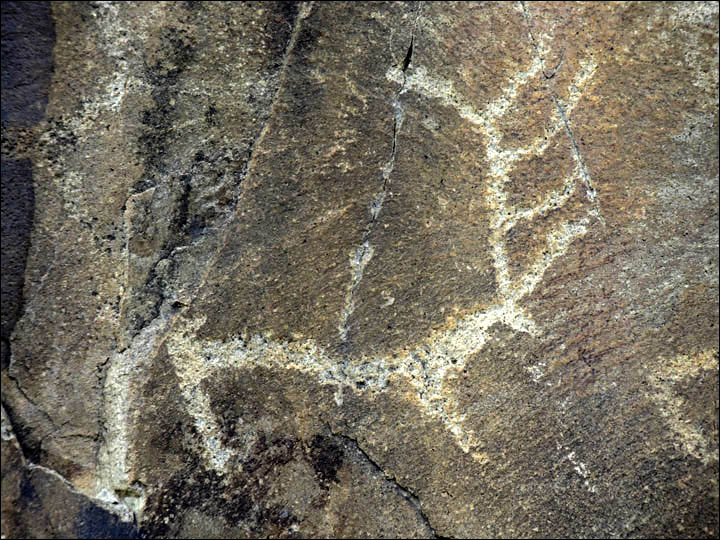 Thousands of rock paintings make remote area the world’s best place to see 5,000 year old alfresco art  