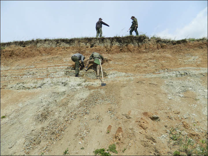 Excavation site in Shestakovo