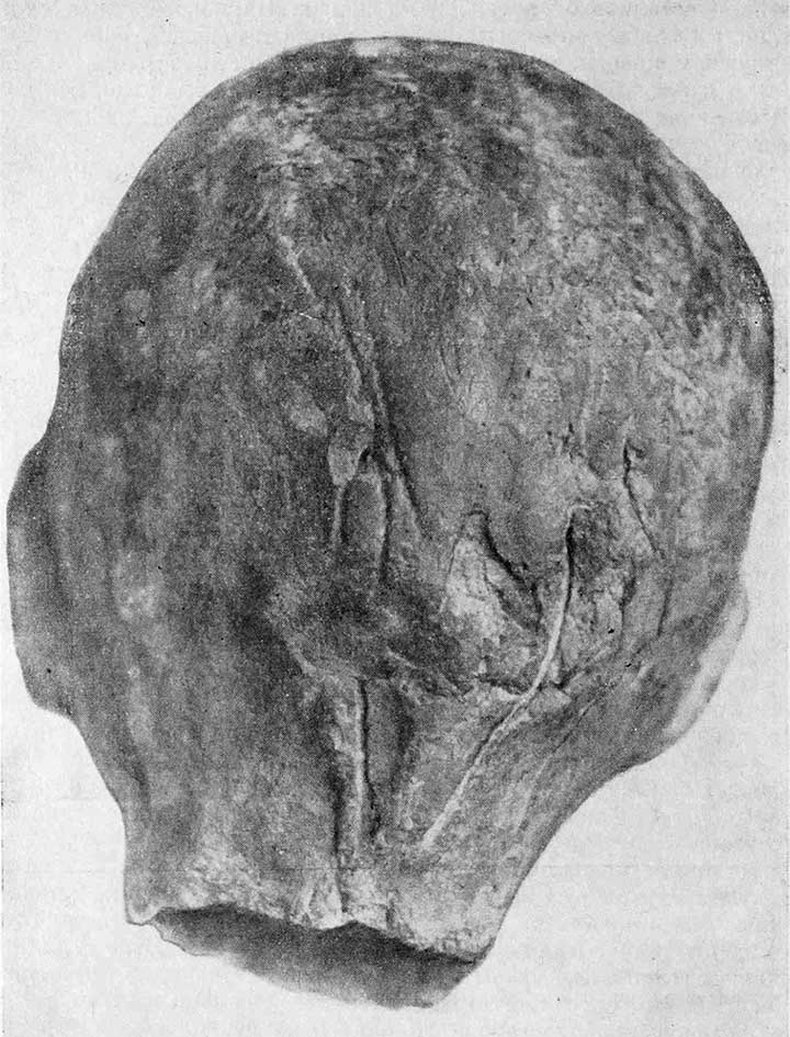 Tagar clay head pictured by Anatoly Martynov