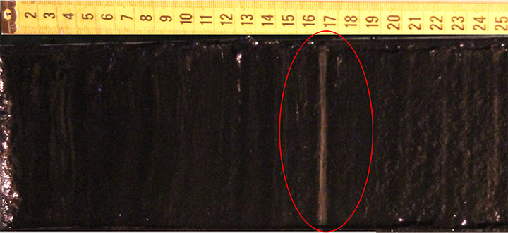 Zapovednoye core