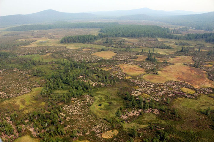 GV of the area of the research