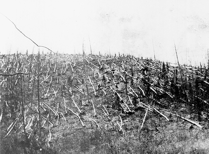 Trees fallen after the Tunguska event