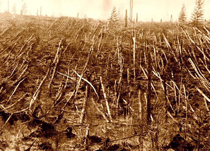 Tunguska event was caused by an iron asteroid body, which passed through the Earth’s atmosphere and continued to the near-solar orbit