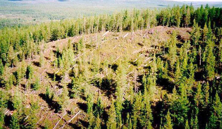 Tunguska event was caused by an iron asteroid body, which passed through the Earth’s atmosphere and continued to the near-solar orbit