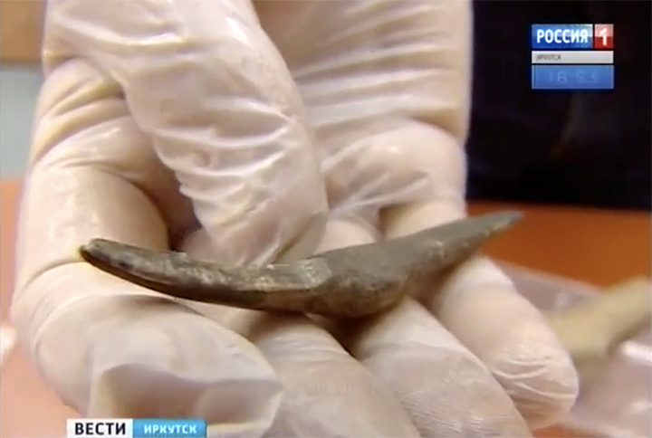 Cave lion claw