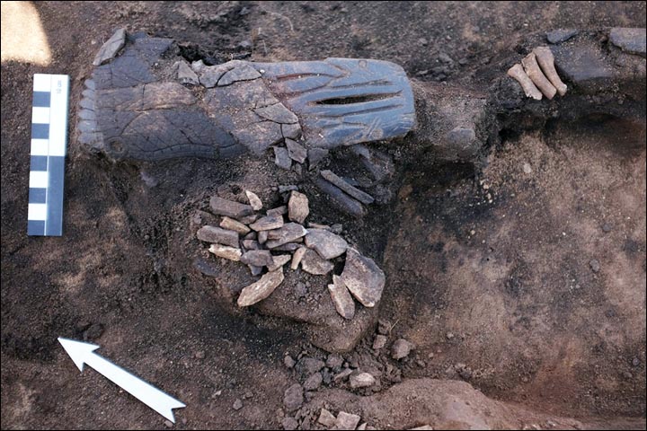 Figurine in situ