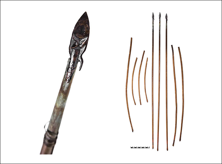 Arrows