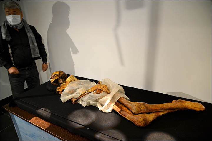 Ukok mummy MRI scan