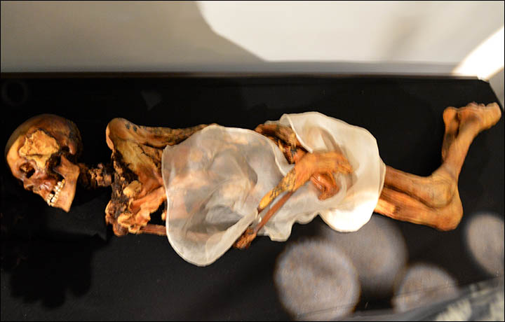 Ukok mummy MRI scan