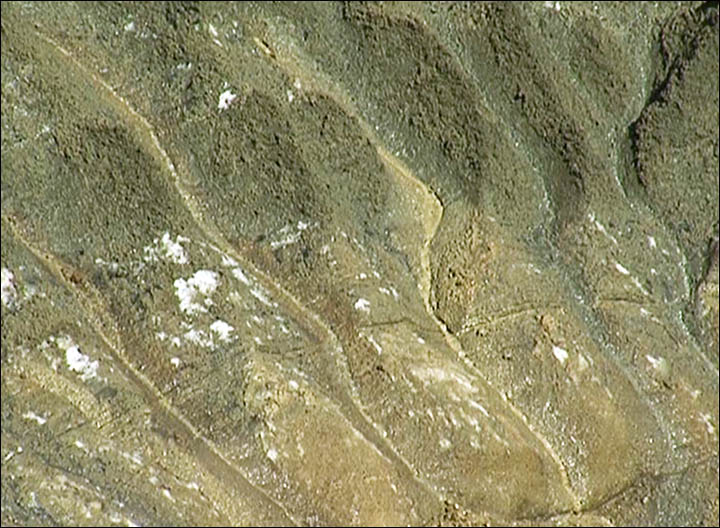 http://siberiantimes.com/science/casestudy/news/now-two-new-large-holes-appear-in-siberia/