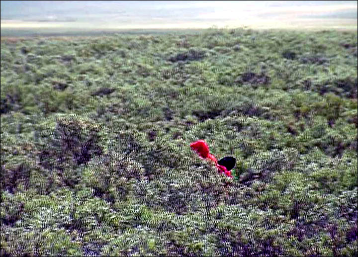 Foreign scientists welcome to join research into Siberia's mysterious giant holes
