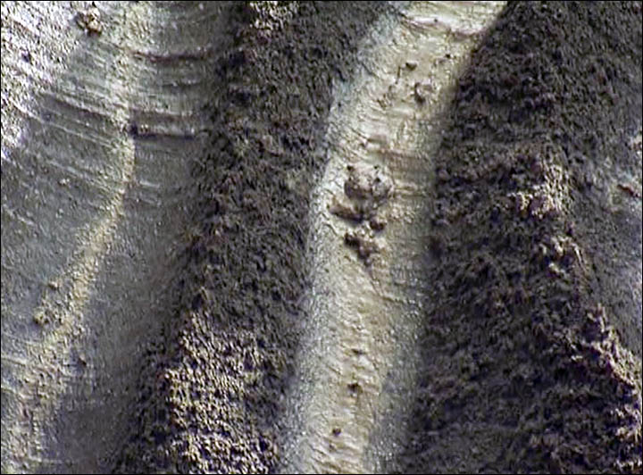 Foreign scientists welcome to join research into Siberia's mysterious giant holes
