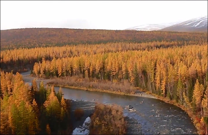 Scientists split after expedition to see the '100 million year old reptile' in Yamal