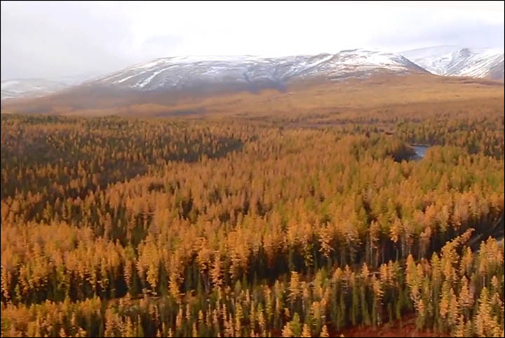 Scientists split after expedition to see the '100 million year old reptile' in Yamal