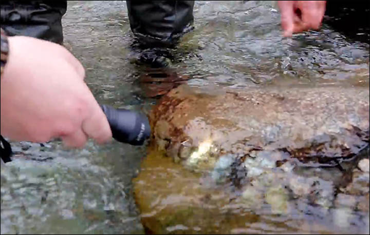 Scientists split after expedition to see the '100 million year old reptile' in Yamal