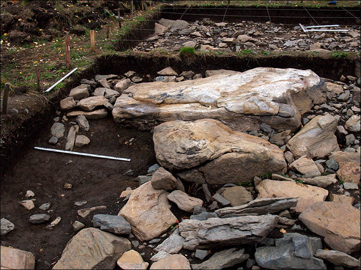 Remarkable new details about giant moose released as archaeologists confirm stone structure is world's oldest