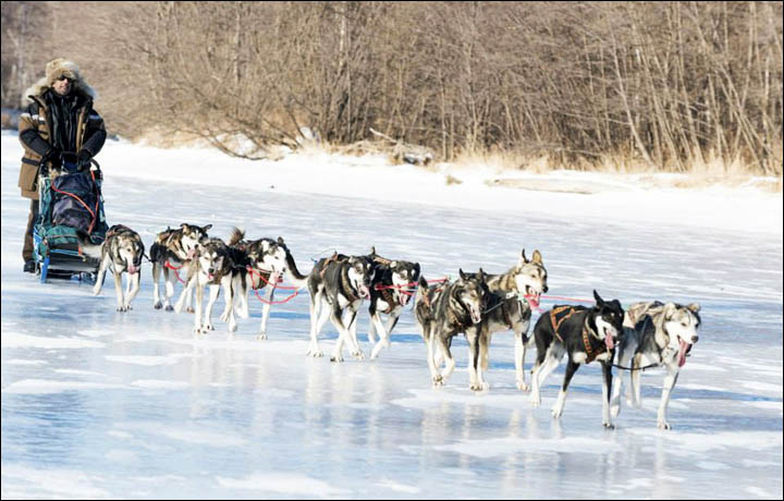 Nicolas Vanier with his dogs in Russian Far East