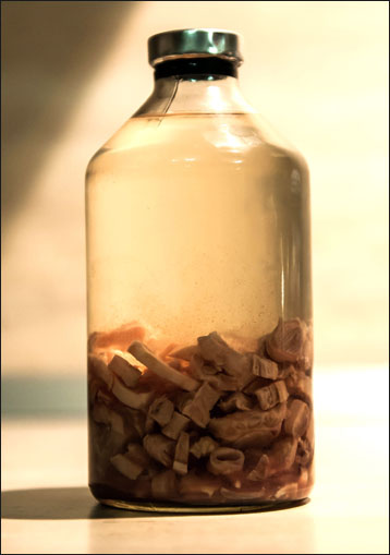 Tincture on red deer veins