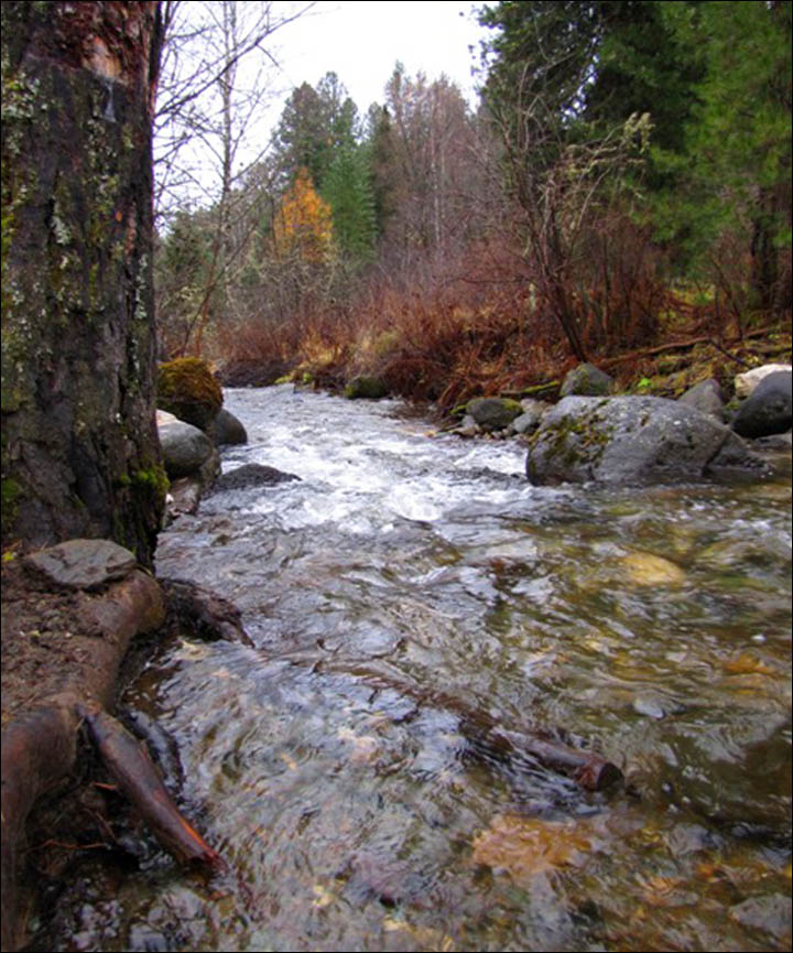 The ultimate away-from-it-all, Chatty Chechenek river, Altai