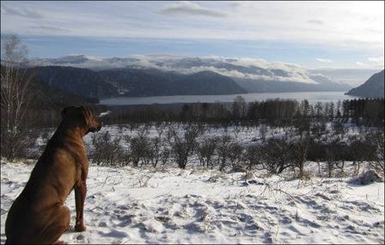 Rickford looks at Teletskoe lake