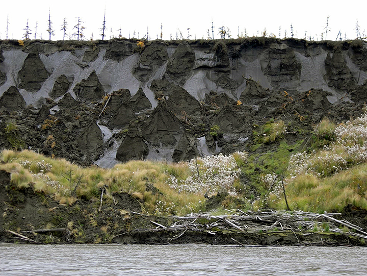 Worms frozen in permafrost for 42,000 years come back to life