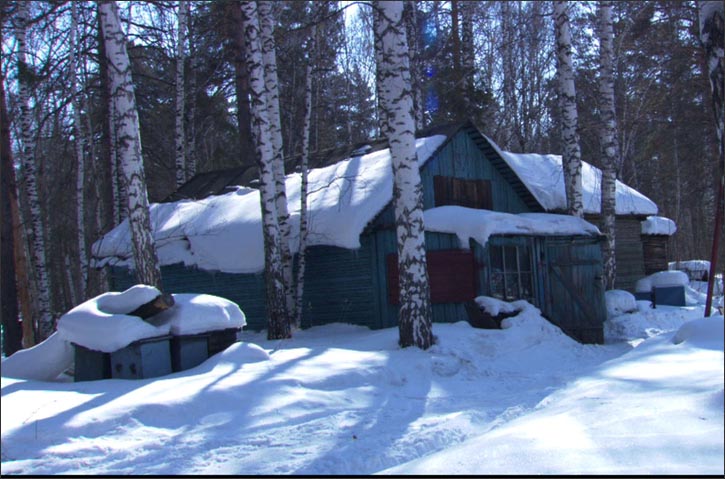 Siberia